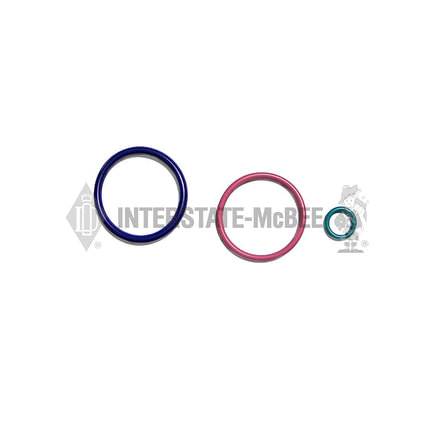Fuel System Gasket Set