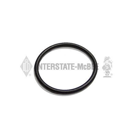 Engine Camshaft Thrust Plate Seal
