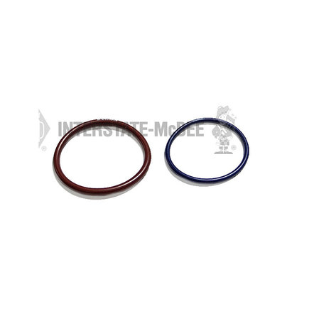 Fuel System Gasket Set