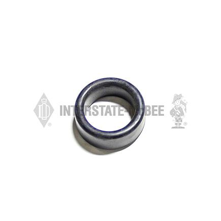 Fuel Injector Dust Seal