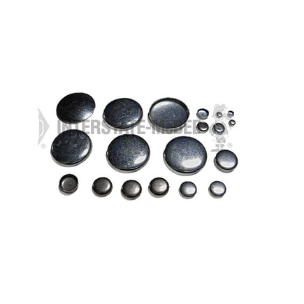 Engine Expansion Plug Kit
