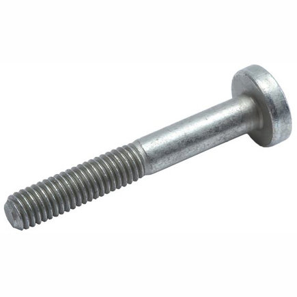 Fuel Injection Throttle Body Bolt