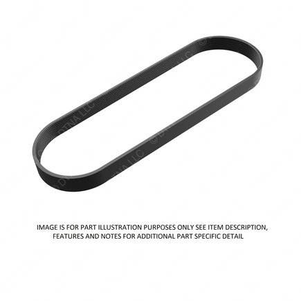 International 8100 Accessory Drive Belt