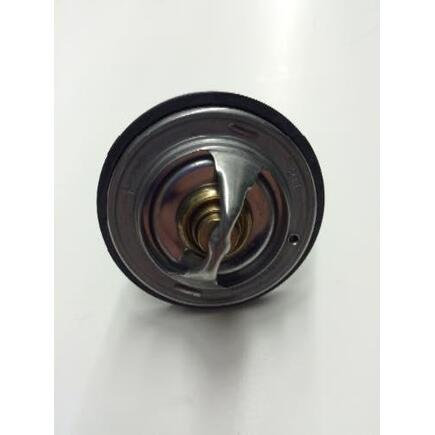 Mini Thermostat and Housing