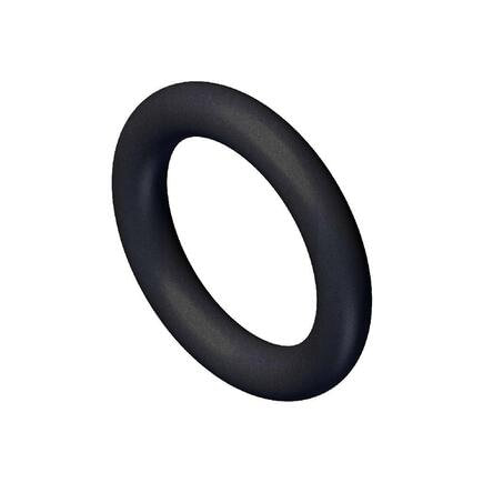 Seal Ring / Washer