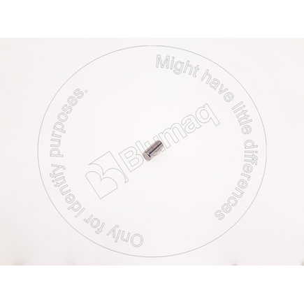Needle Bearing Roller