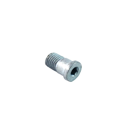 Vehicle Speed Sensor Bolt