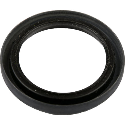 Manual Transmission Shift Shaft Seal