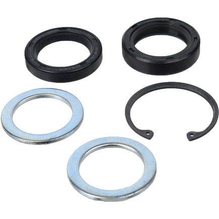 Oldsmobile Cutlass Steering Gear Pitman Shaft Seal Kit