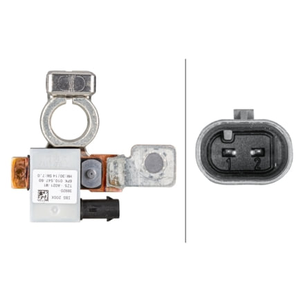 BMW Intelligent Battery Sensor (IBS)