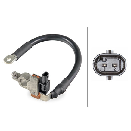 Intelligent Battery Sensor (IBS)