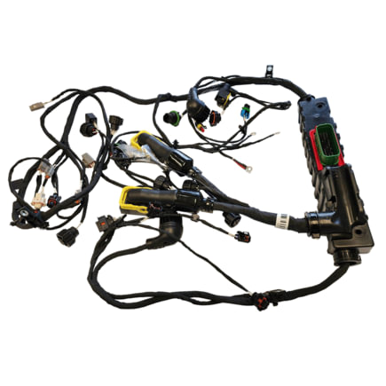 Engine Control Module (ECM) Wiring Harness