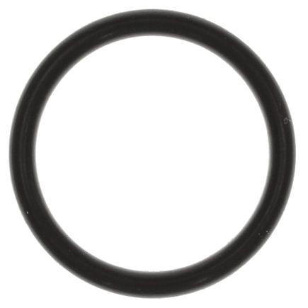 Engine Coolant Outlet O-Ring