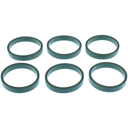 Fuel Injection Plenum Gasket
