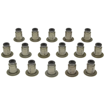 Ford F-53 Motorhome Chassis Engine Valve Stem Oil Seal Set