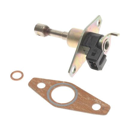 Fuel Injection Cold Start Valve