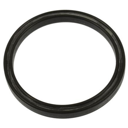 Dodge Durango Vapor Canister Seal