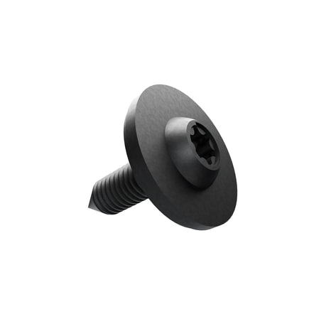 Tail Light Screw
