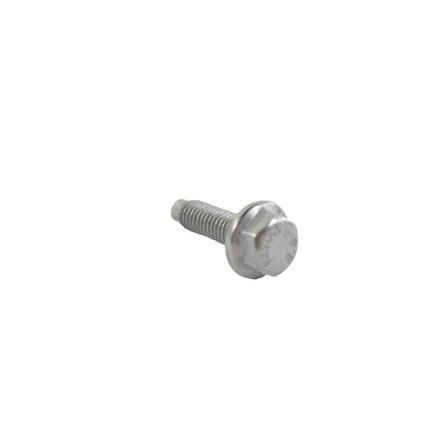 Radiator Screw