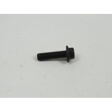 Exhaust Gas Recirculation (EGR) Cooler Bolt