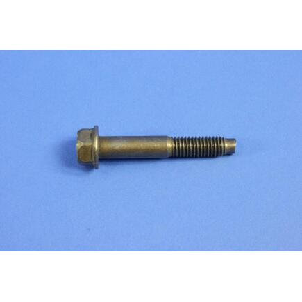 Engine Oil Separator Bolt
