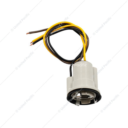 Tail Light Socket and Wiring