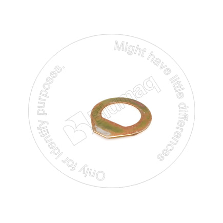Fuel Pump Nut
