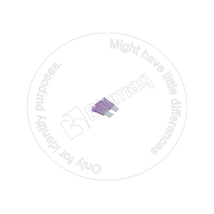 Back Up Alarm System Fuse