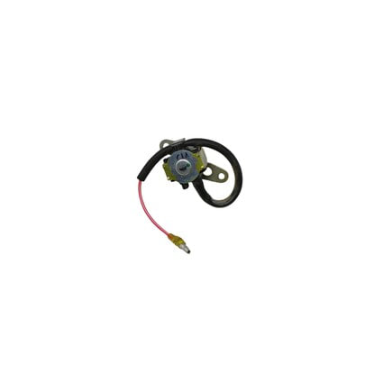 Fuel Injector Solenoid