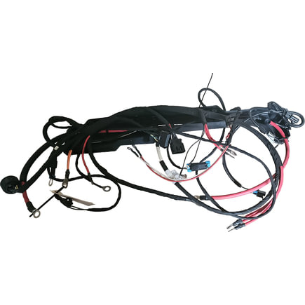 Engine Wiring Harness