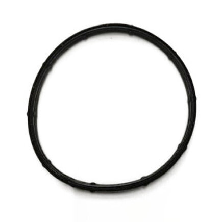 Exhaust Throttle Valve Gasket