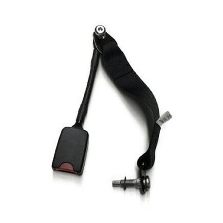 Seat Belt Buckle Assembly