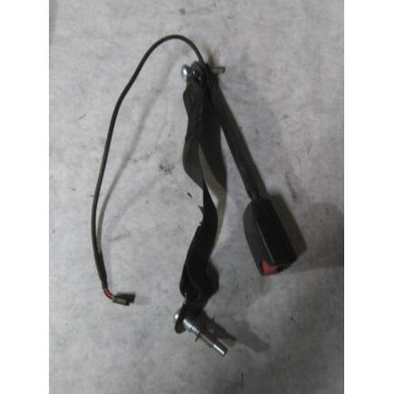 Seat Belt Assembly