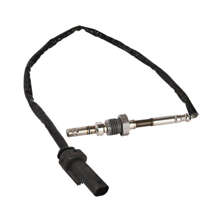 Exhaust Gas Recirculation (EGR) Valve Temperature Sensor