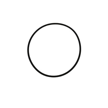 Fuel Injection Pump O-Ring