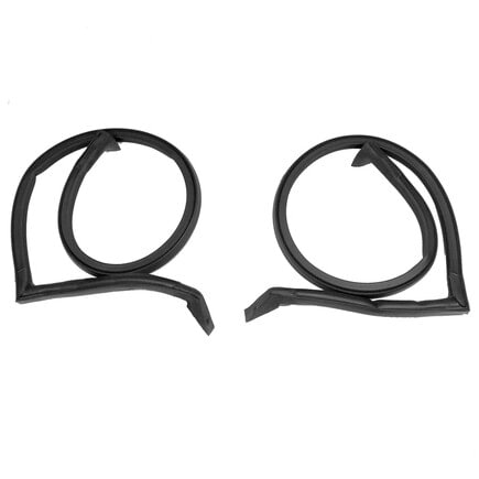 Buick Roof Side Rail Seal Kit