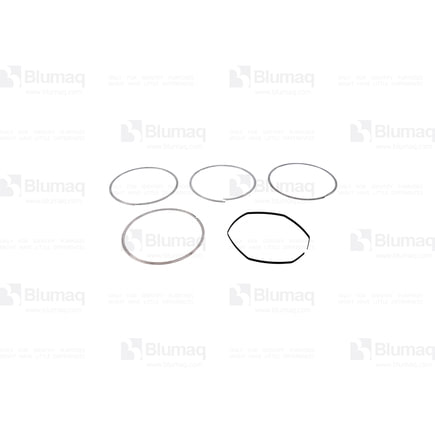 Exhaust Seal Ring Kit