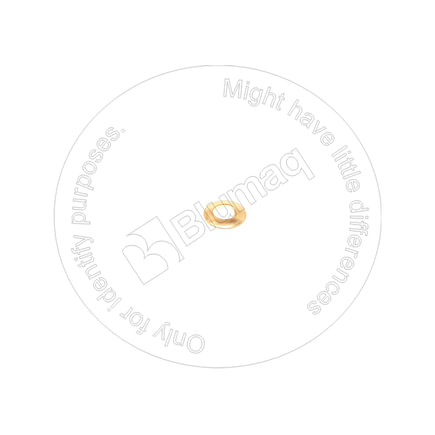 Clutch Thrust Plate
