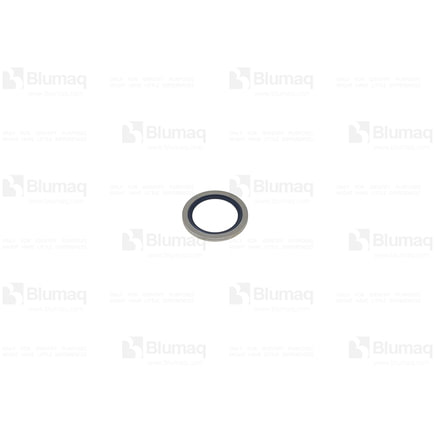 Rubber-Bonded Sealing Washer