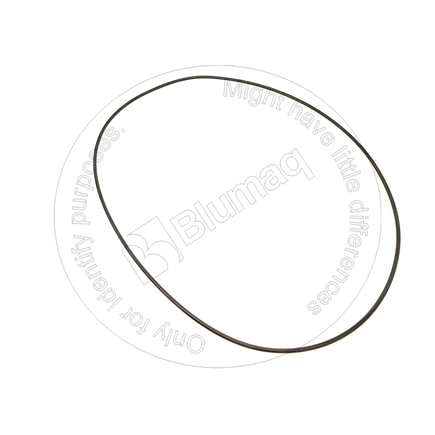 Transfer Case Clutch O-Ring