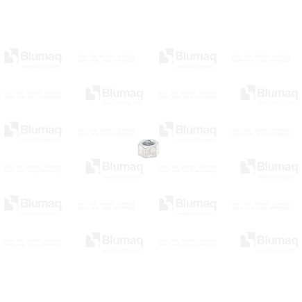 Engine Cylinder Head Nut