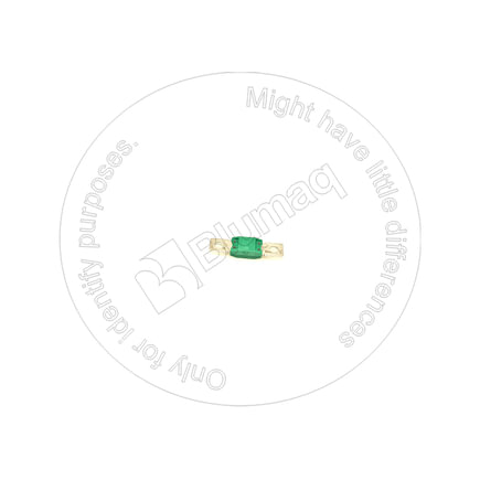 Battery Terminal Fuse