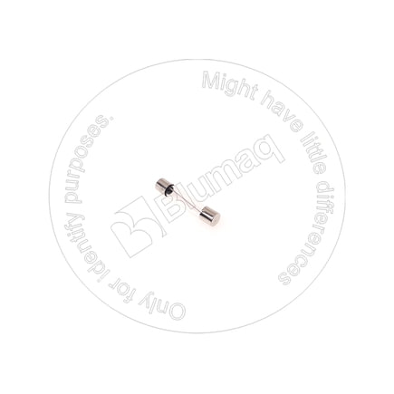 Instrument Panel Fuse
