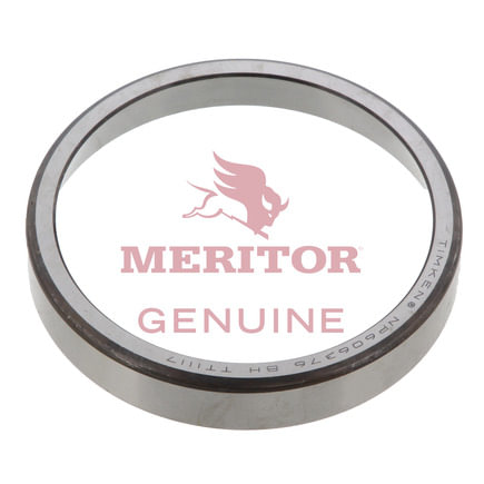 Differential Carrier Bearing Cup