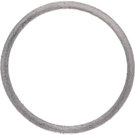 Engine Coolant Pipe Gasket