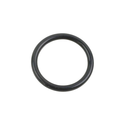 Engine Control Module (ECM) Seal