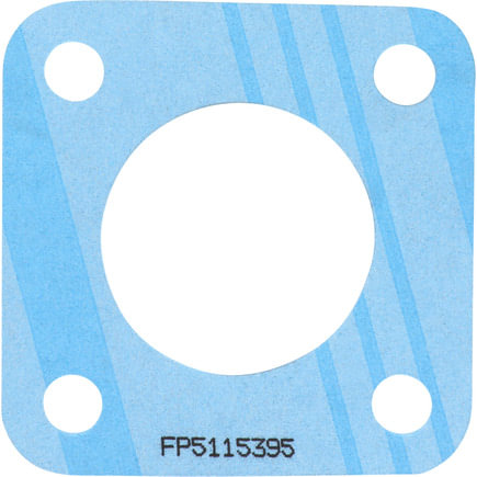 Raw Water Pump Inlet Connection Gasket