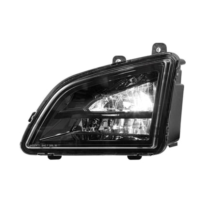 Fog Light