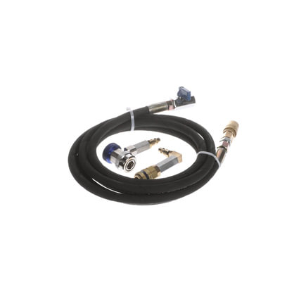 Shocks and Struts