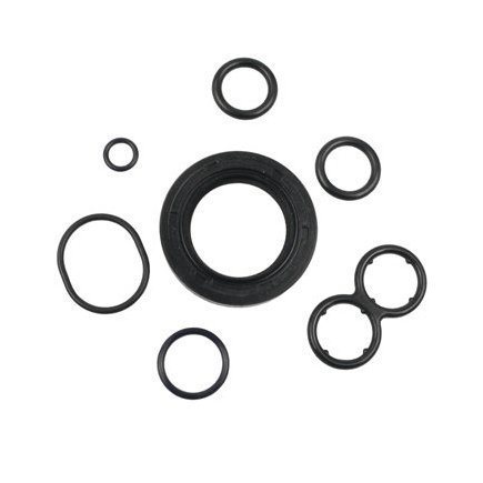 Engine Oil Pump Gasket Kit
